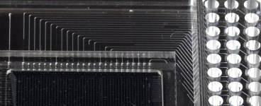 biomarkchip